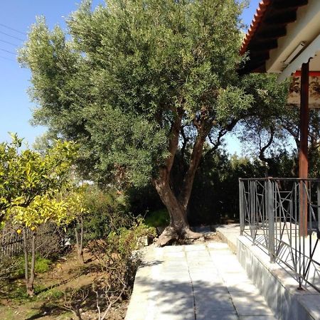 Gerakina Beach Cottage Psakoudia Buitenkant foto