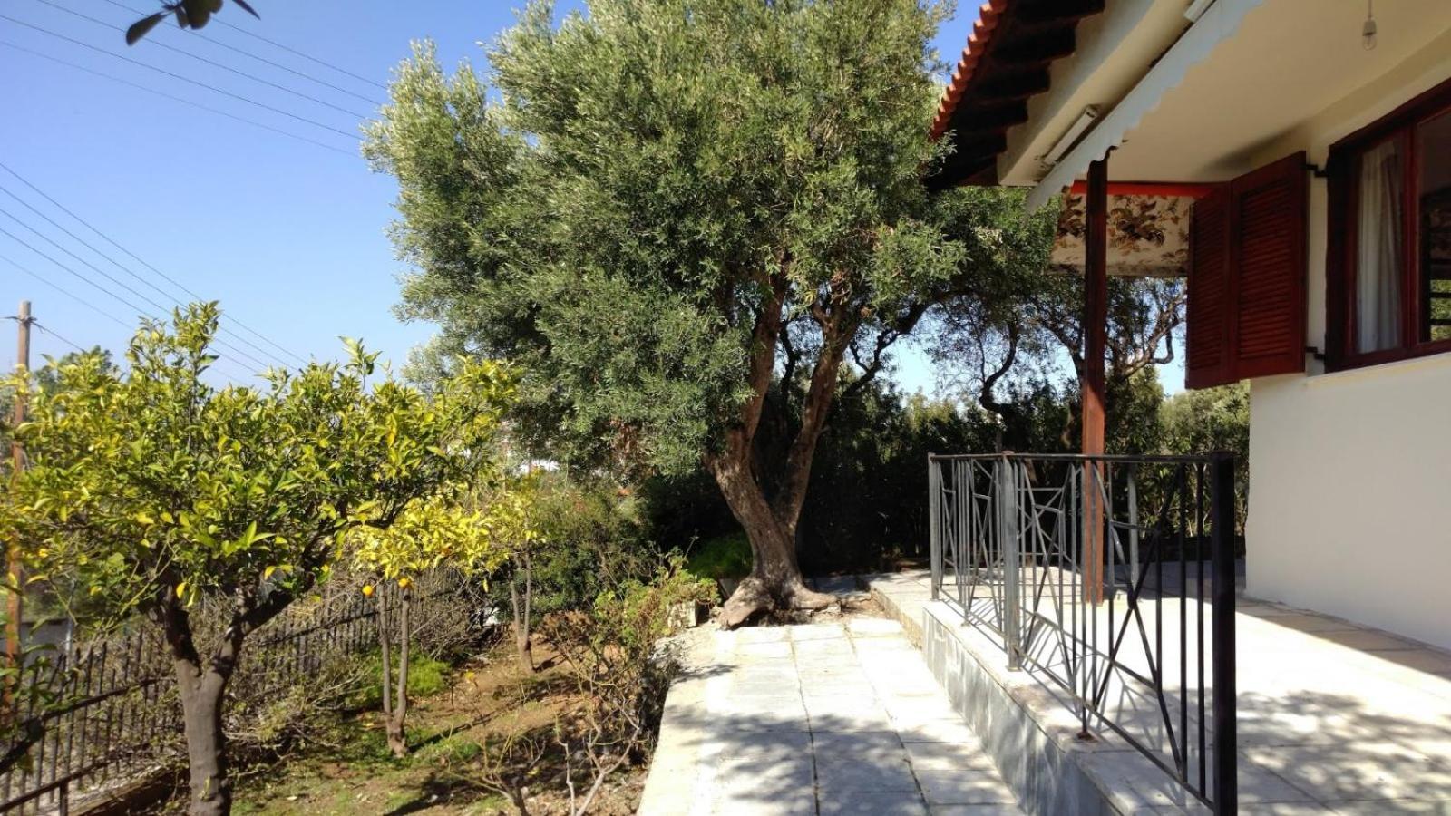 Gerakina Beach Cottage Psakoudia Buitenkant foto
